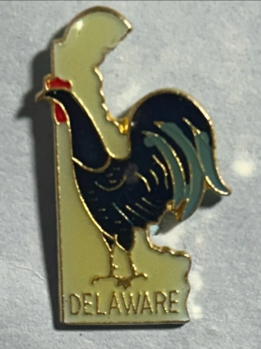 Delaware Rooster state-shaped souvenir collectible Pin